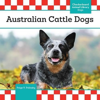 Australian Cattle Dogs by Paige V Polinsky