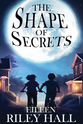 The Shape of Secrets book