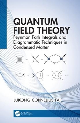 Quantum Field Theory: Feynman Path Integrals and Diagrammatic Techniques in Condensed Matter book