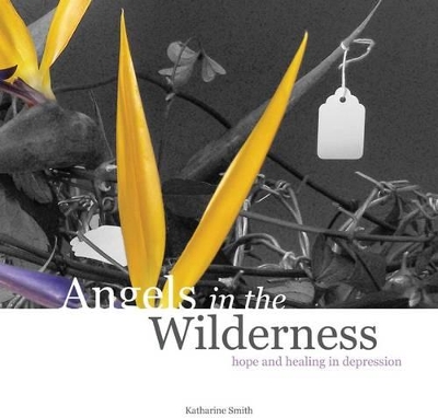 Angels in the Wilderness book