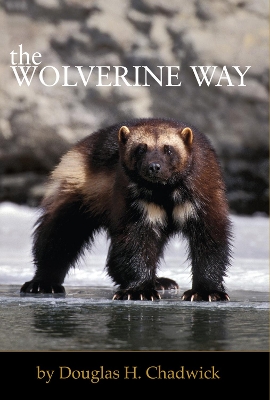 Wolverine Way by Douglas H Chadwick