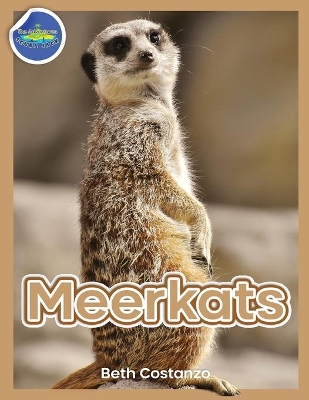 Meerkat Activity Workbook for Kids ages 4-8 book