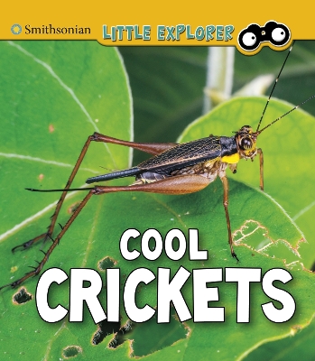 Cool Crickets book