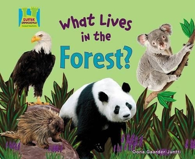 What Lives in the Forest? book