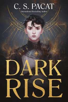 Dark Rise: Dark Rise 1 book