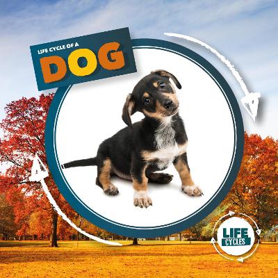 Life Cycle of a Dog book