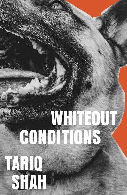 Whiteout Conditions by Tariq Shah