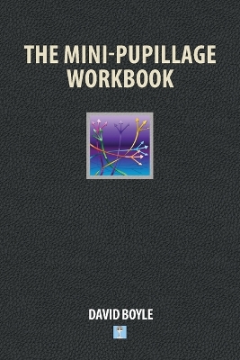 The Mini-Pupillage Workbook book
