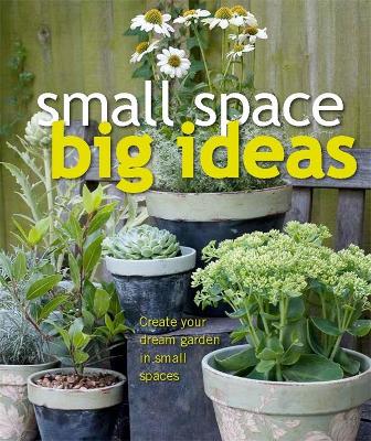 Small Space Big Ideas book
