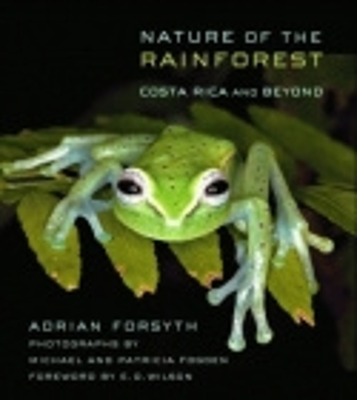 Nature of the Rainforest book