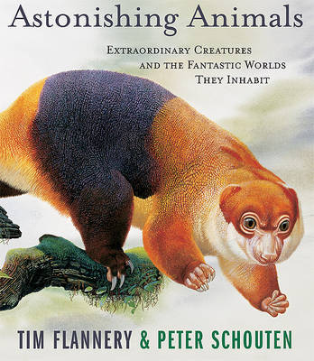 Astonishing Animals by Tim Flannery