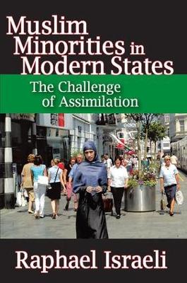 Muslim Minorities in Modern States book