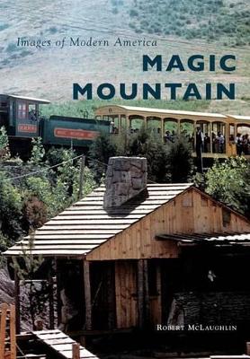 Magic Mountain book