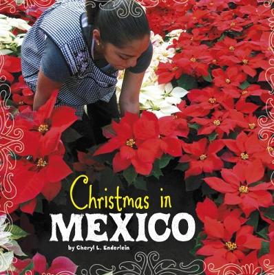 Christmas in Mexico book