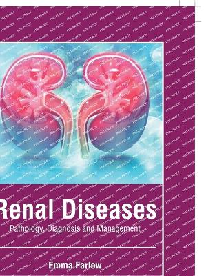 Renal Diseases: Pathology, Diagnosis and Management book