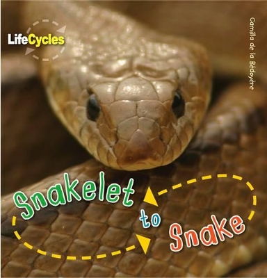 Life Cycles: Snakelet to Snake book