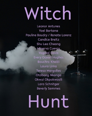 Witch Hunt book