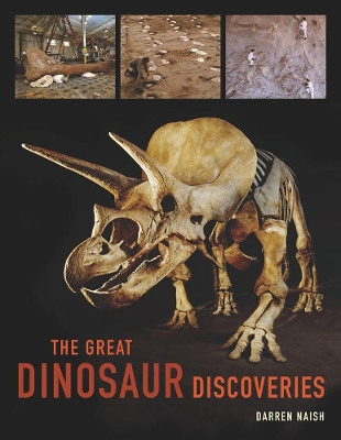 Great Dinosaur Discoveries book