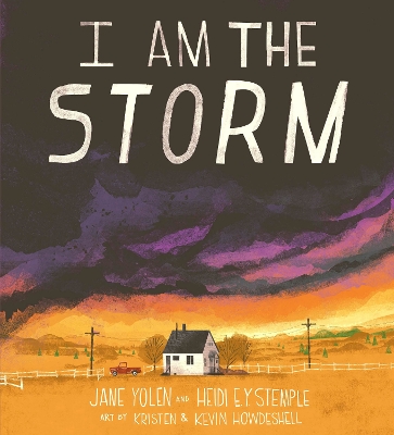 I Am the Storm book