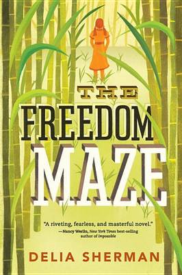 Freedom Maze book