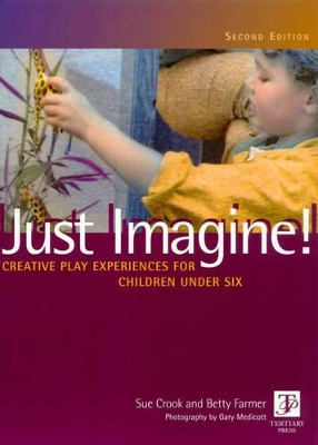 Just Imagine! Creative Play Experiences for Children Under Six book