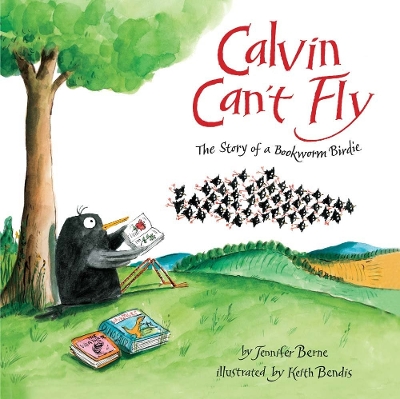 Calvin Can't Fly book
