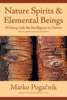 Nature Spirits & Elemental Beings book