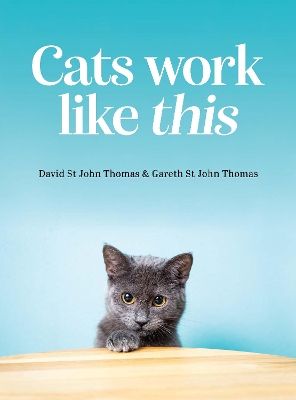 Cats Work Like This book
