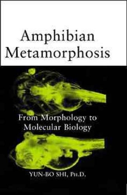 Amphibian Metamorphosis: From Morphology to Molecular Biology book