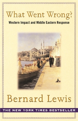 What Went Wrong? book