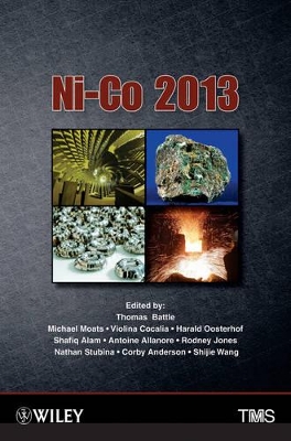 Ni-Co 2013 book