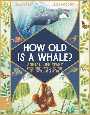 How Old Is a Whale?: Animal Life Spans from the Mayfly to the Immortal Jellyfish book