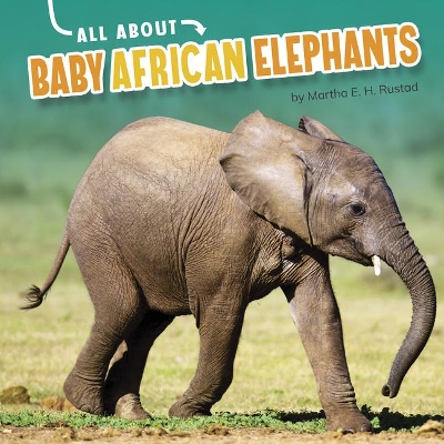 Baby African Elephants book
