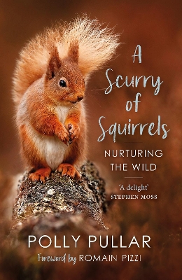 A Scurry of Squirrels: Nurturing The Wild by Polly Pullar