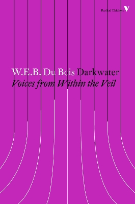 Darkwater: Voices from Within the Veil book
