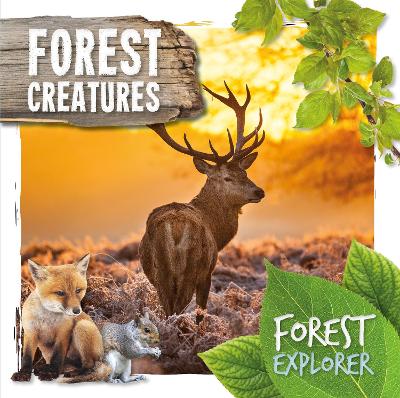 Forest Creatures book