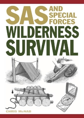 Wilderness Survival book
