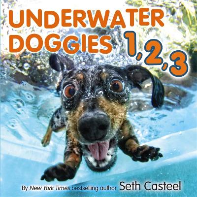 Underwater Doggies 1,2,3 book