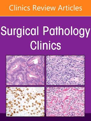 Genitourinary Pathology, An Issue of Surgical Pathology Clinics: Volume 15-4 book