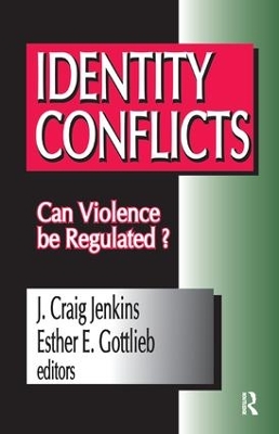Identity Conflicts book