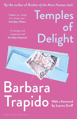 Temples of Delight by Barbara Trapido