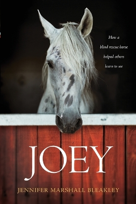 Joey by Jennifer Marshall Bleakley