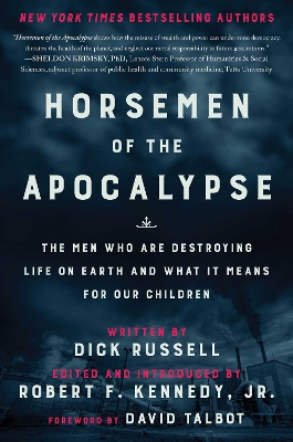 Horsemen of the Apocalypse book