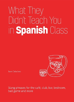 What They Didn't Teach You in Spanish Class by Juan Caballero