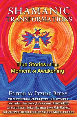 Shamanic Transformations book