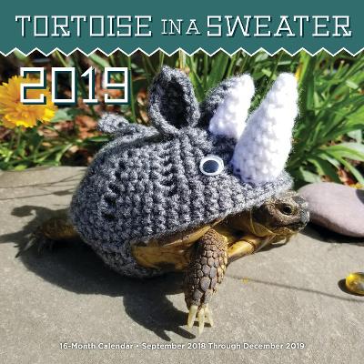 Tortoise in a Sweater 2019: 16-Month Calendar - September 2018 through December 2019 book