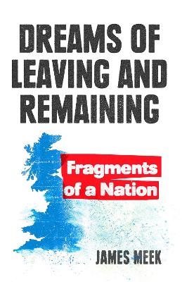 Dreams of Leaving and Remaining: Fragments of a Nation book