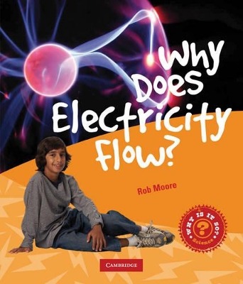 Why Does Electricity Flow? book