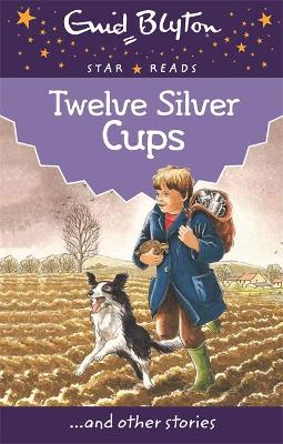 Twelve Silver Cups book