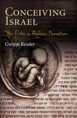 Conceiving Israel book